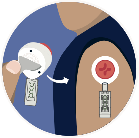 Test Horizontal Gallery Image 2